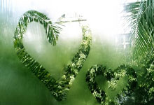 开云体育-浙江队争冠战胜出森林狼，布伦森成为关键先生