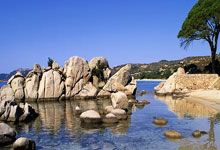 开云体育-浙江队争冠战胜出森林狼，布伦森成为关键先生