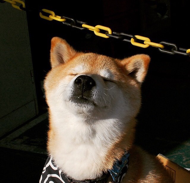 开云体育-北欧冷锋刺穿格子铁幕，伊萨克一箭定江山，AC米兰式决胜基因闪耀