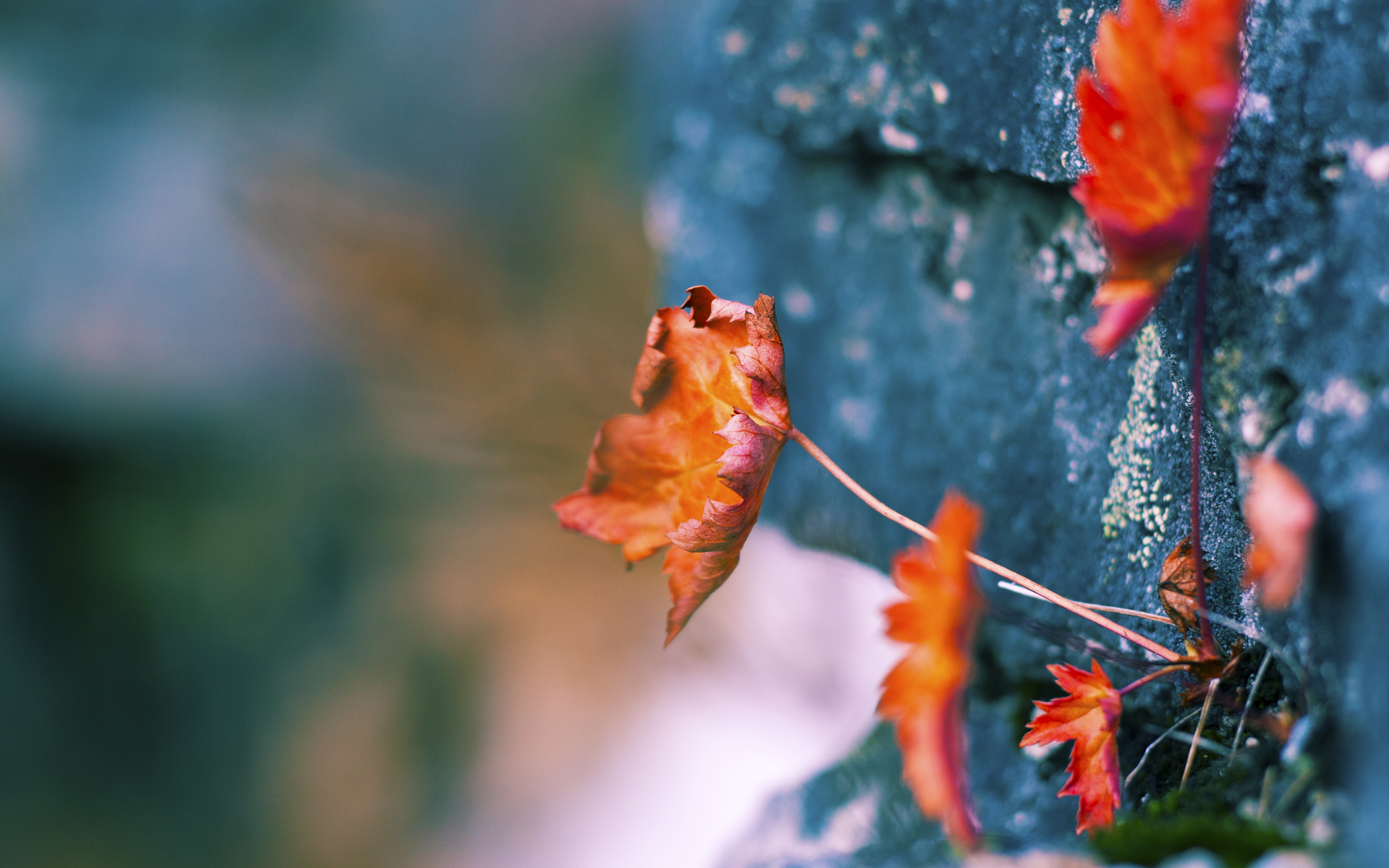 钢铁城墙，从伯纳乌到深圳体育馆的防守哲学