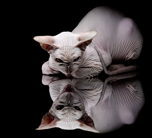 开云体育APP下载-一道横跨太平洋的闪电，马克西的转换进攻如何让掘金轻取上海队