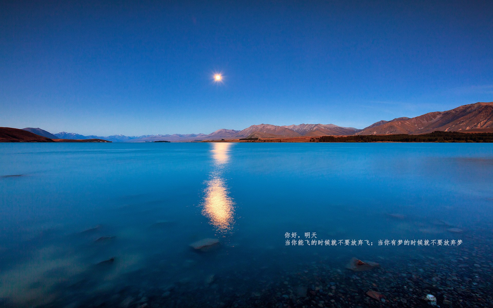 开云体育入口-铁蹄与金翼，当步行者粉碎公牛的旧日荣光，照进东契奇的关键先生时代