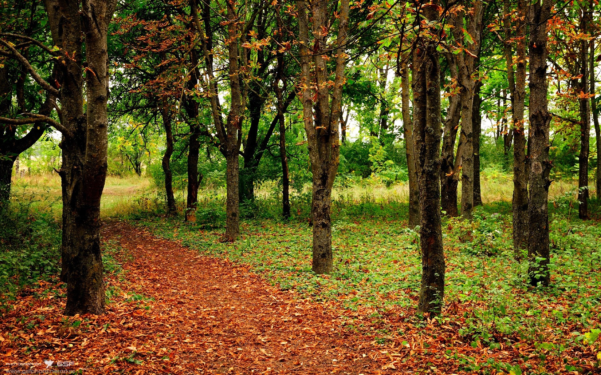 铁血之墙倒下时,传奇用左脚写下新诗