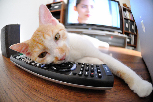 迪马利亚展翅定乾坤,阿根廷友谊赛击穿洪都拉斯防线