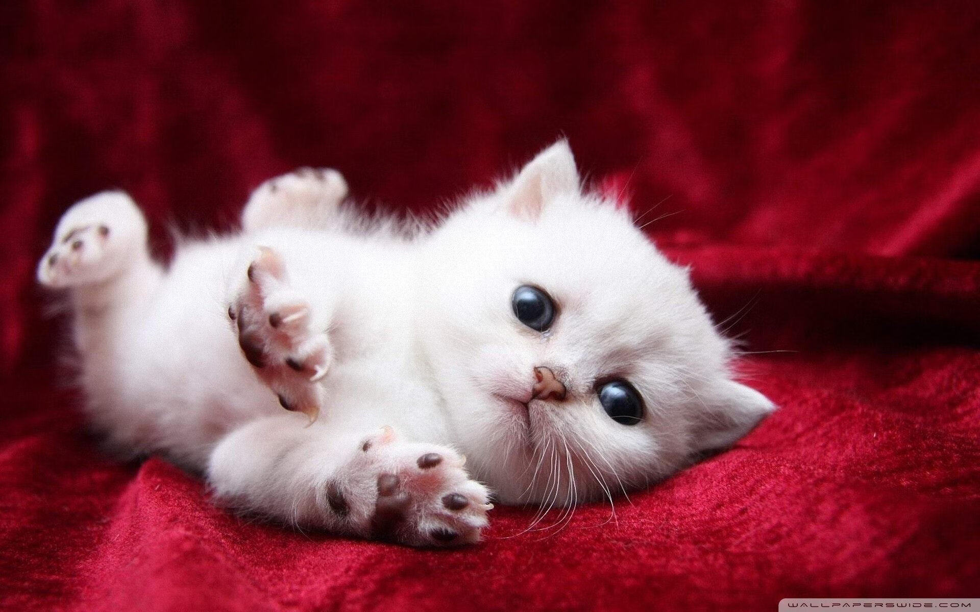 坎特封神之战!丹麦单节暴走击溃巴萨,全场最佳毫无争议