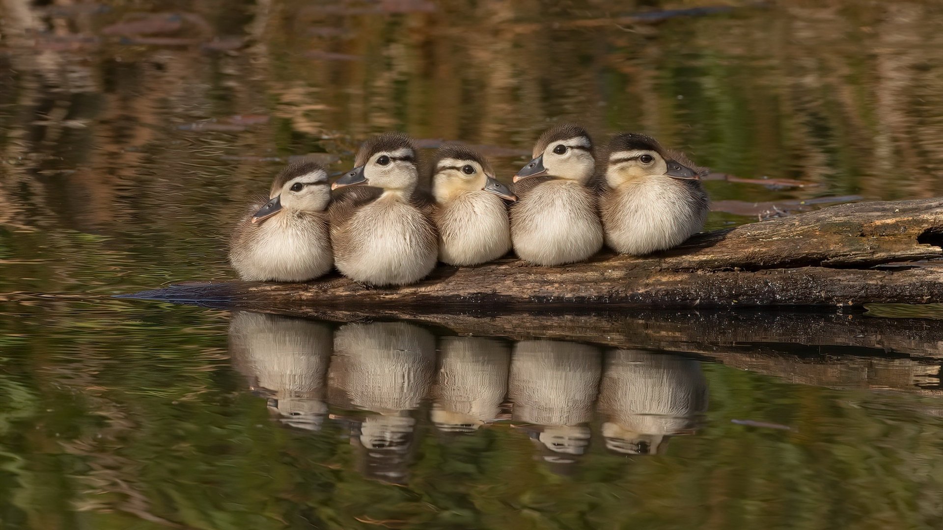 开云体育-李刚仁，绿茵棋手，教科书级掌控力助日本硬仗擒巴拉圭