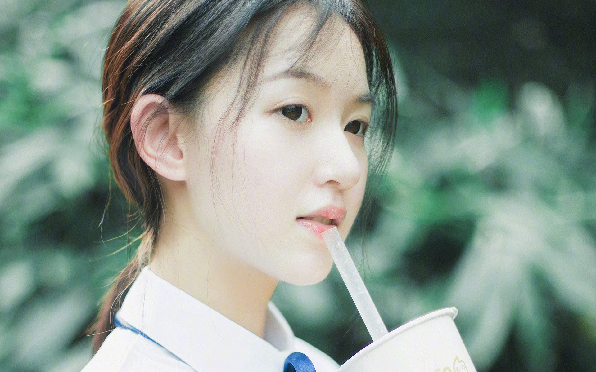 浙江队绝境逢生，美加墨世界杯焦点战前的生死战胜利