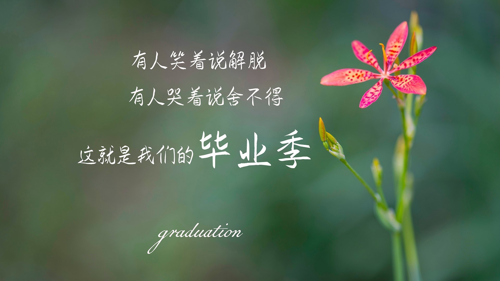 唯一性的悖论，当拳手选择挥重拳—2026世界杯G组，瑞典的非典型横扫与迪亚斯的逆转史诗