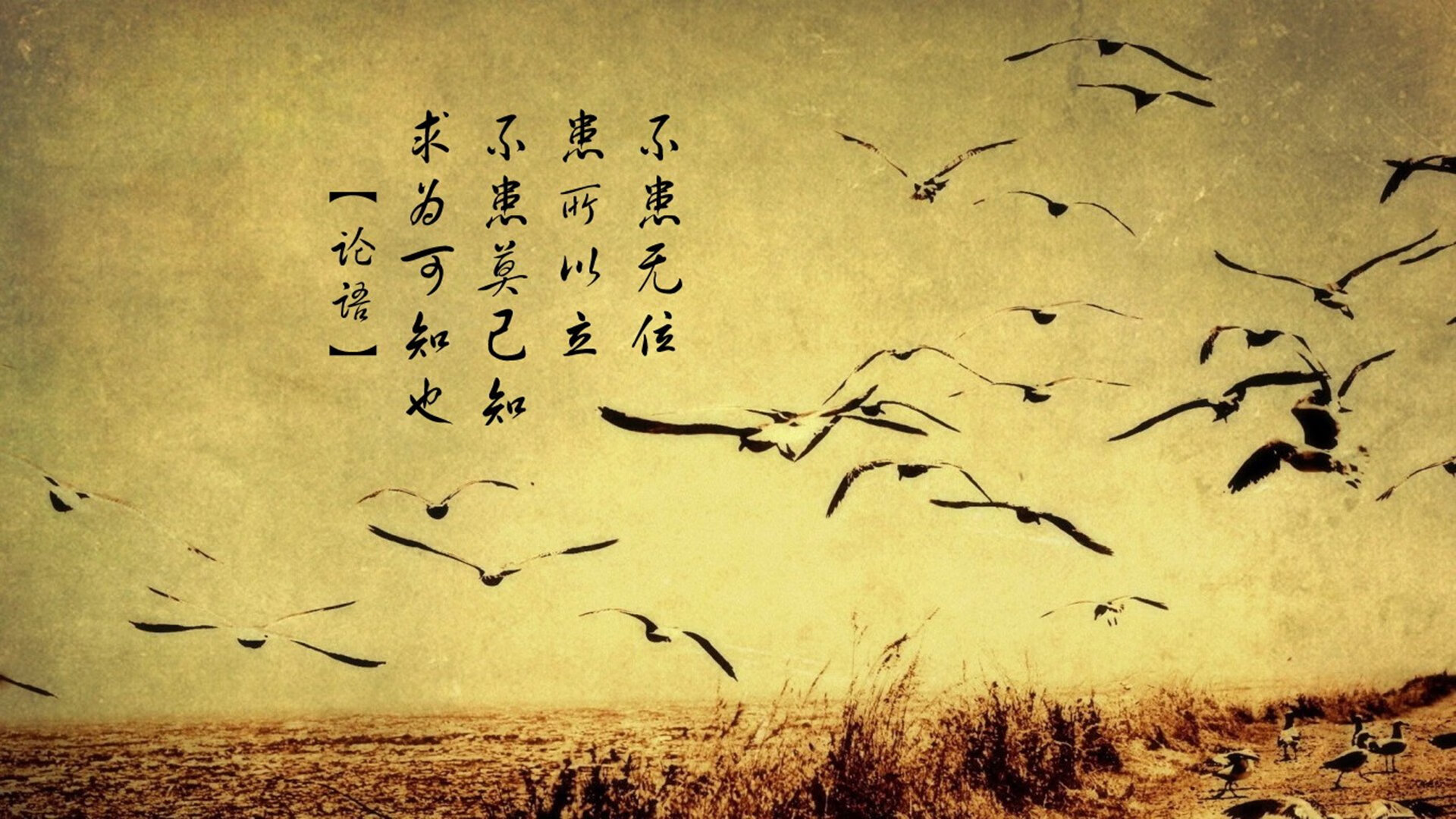 开云体育中国-命运的交汇，2026世界杯A组，托纳利一人改写哥斯达黎加与智利的唯一历史