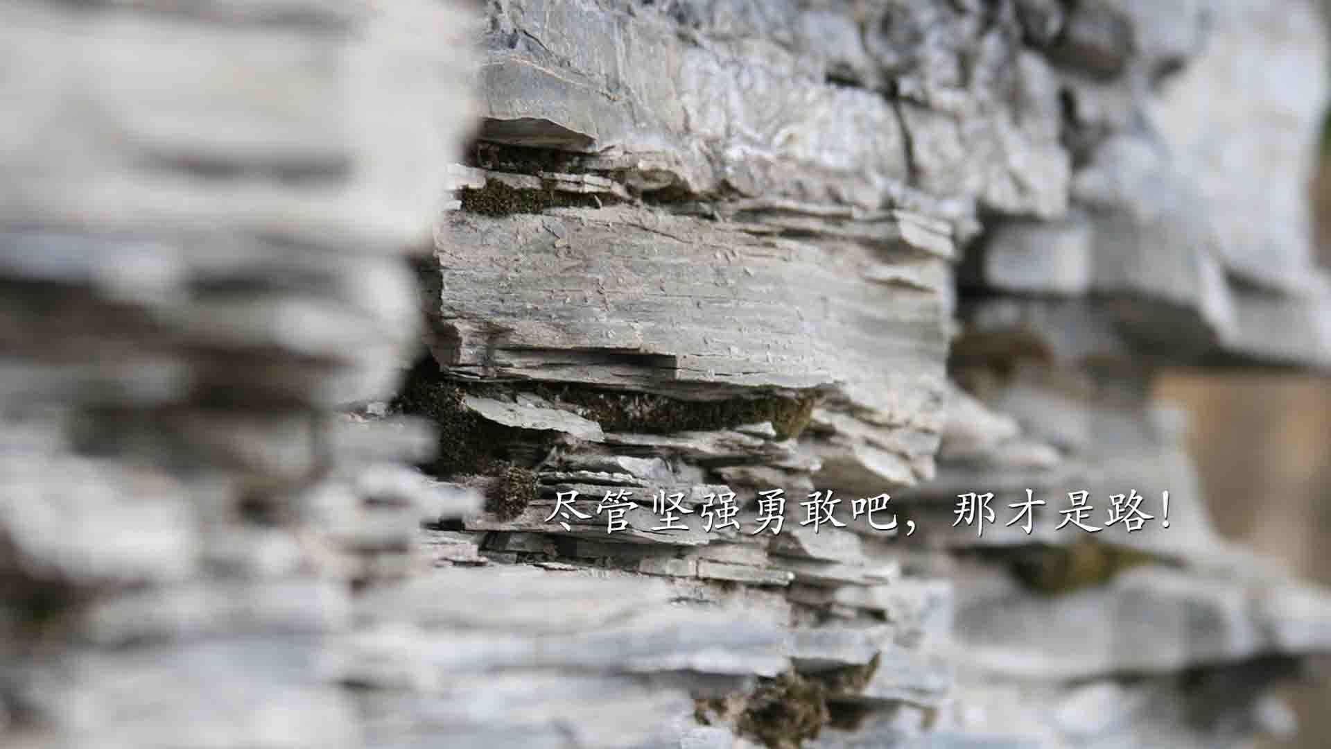 剧本不敢这么写！凯恩逆转乾坤，意大利读秒绝杀，同一夜，两种写就的头名史诗