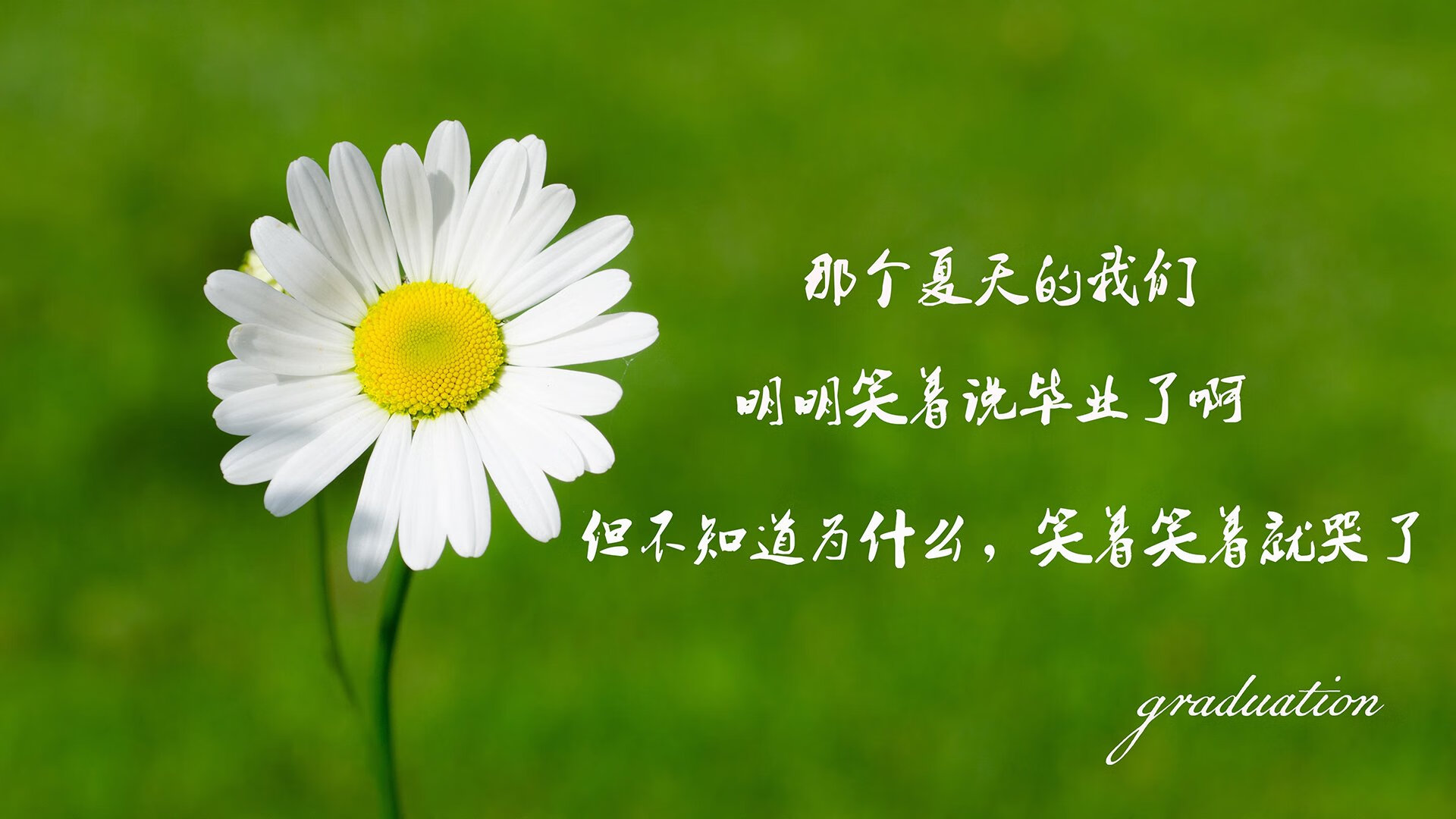斗牛士的铁蹄与潘帕斯之王的绝唱，2026世界杯D组，一场碾压与新王登基的叙事交响