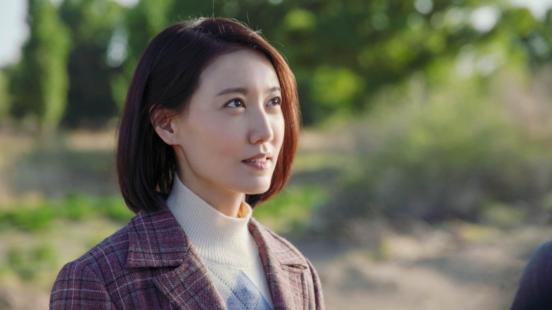 2026世界杯D组,当安第斯山脉的最后一滴热血,撞上巴尔干的钢铁心脏